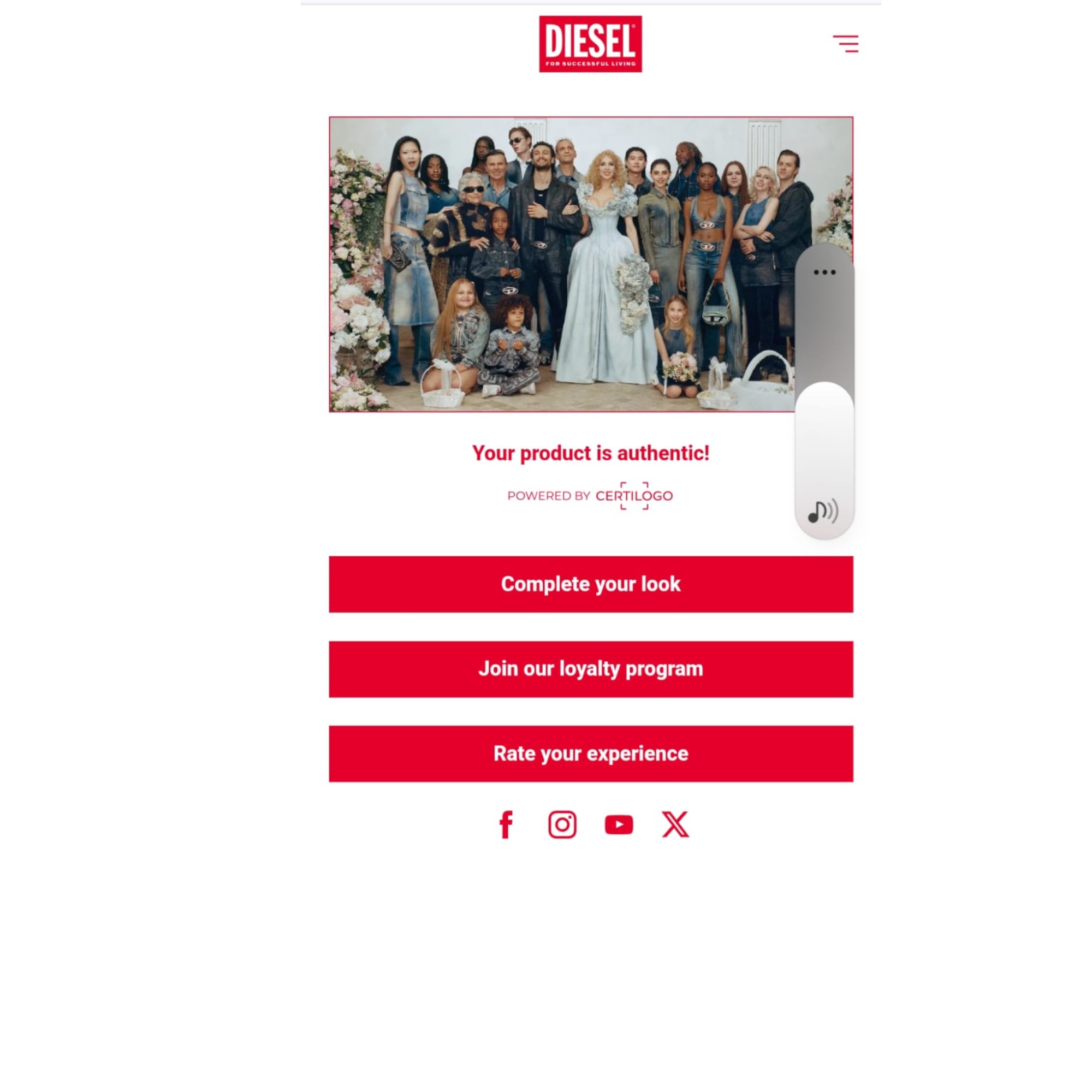 Afbeelding 10 van 10